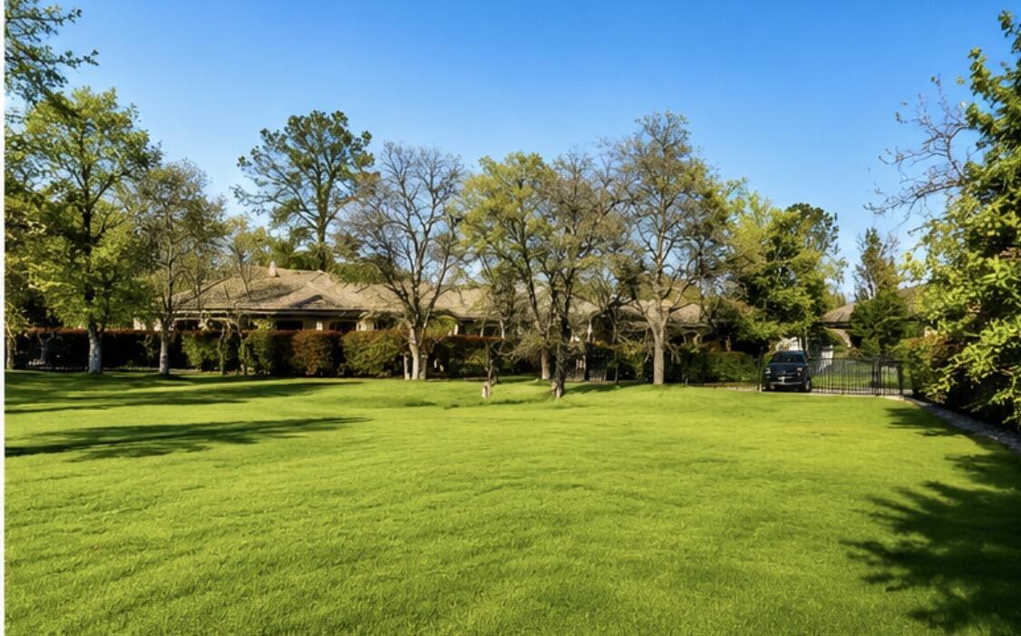 13212 Tierra Heights Road Redding, CA 96003 - Photo 8 of 12 a grassy field with trees in the background