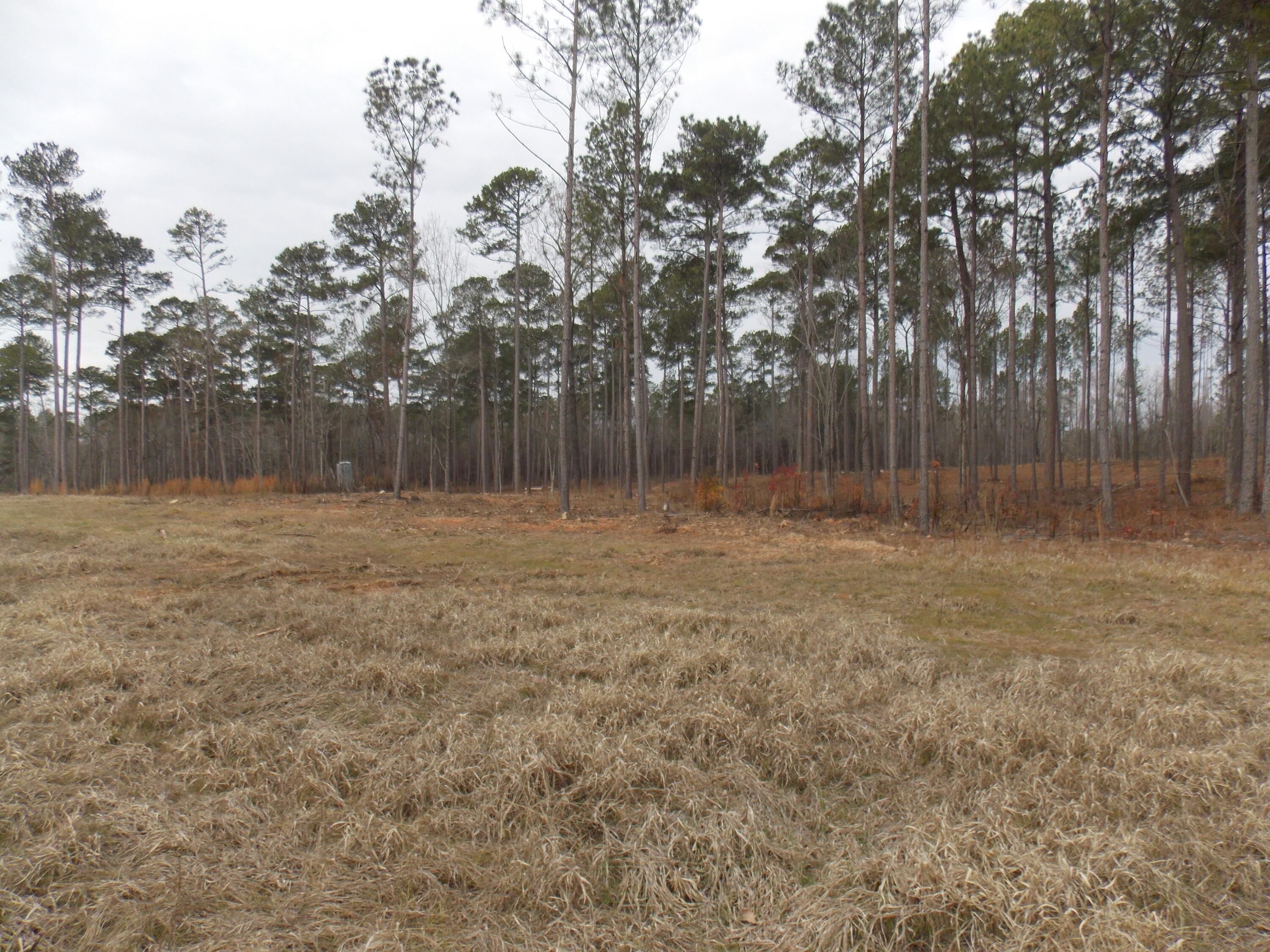 3 East Mosley Road Lincolnton, GA 30817 - Photo 3 of 3 DSCN3445