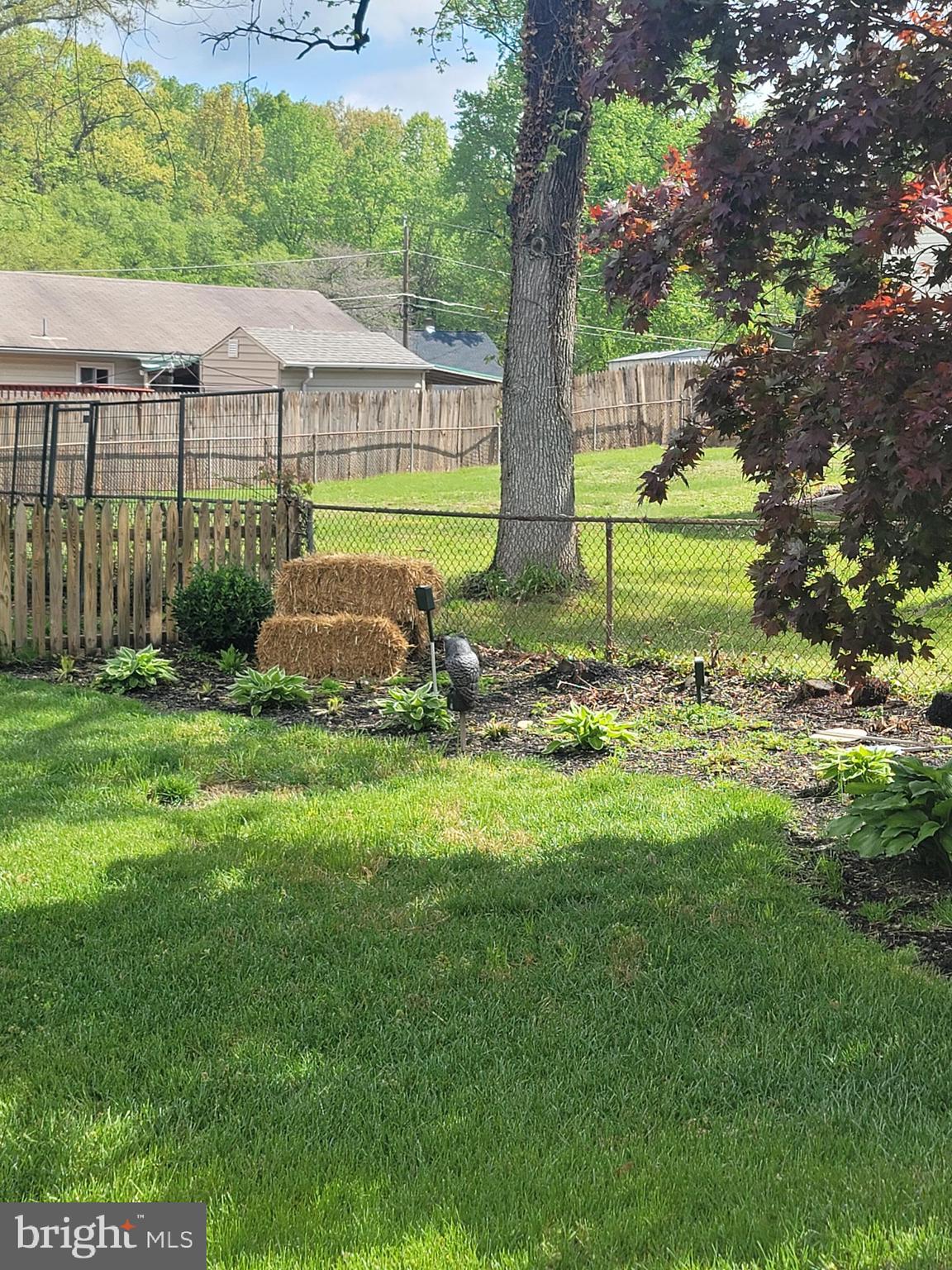 4106 Maple Road Morningside, MD 20746 - Photo 3 of 9
