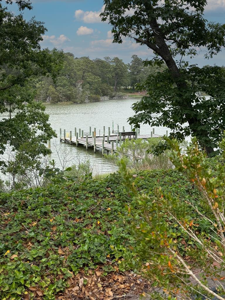 5302 Kendall Grove Road Cape Charles, VA 23310 - Photo 18 of 145