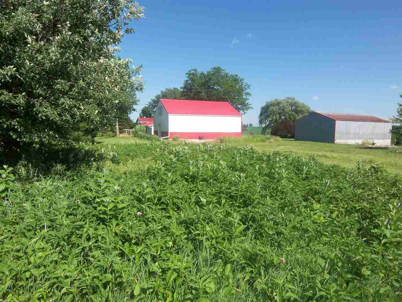 2666 South Rock City Road Ridott, IL 61067 - Photo 24 of 25 a view of a yard in front of the house