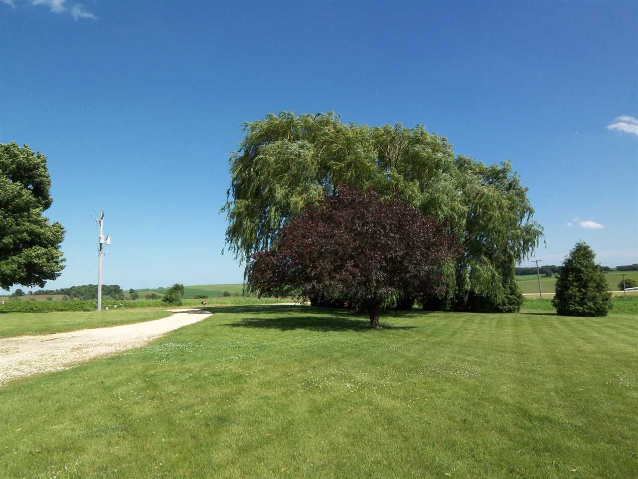 2666 South Rock City Road Ridott, IL 61067 - Photo 25 of 25 a view of a field of grass and trees