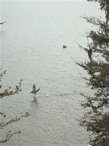 $1,425 | 18800 Egret Bay Boulevard, Unit 110, Webster, TX 77058