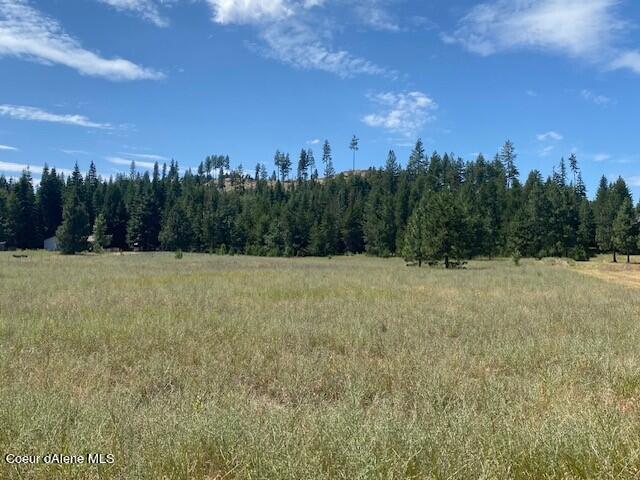 Nna Nna O2a0a) Parsons Drive Priest River, ID 83856 - Photo 1 of 1 Right edge angle to left