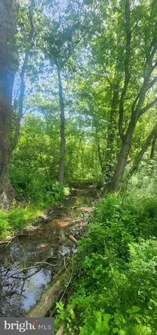 a view of a yard in a backyard