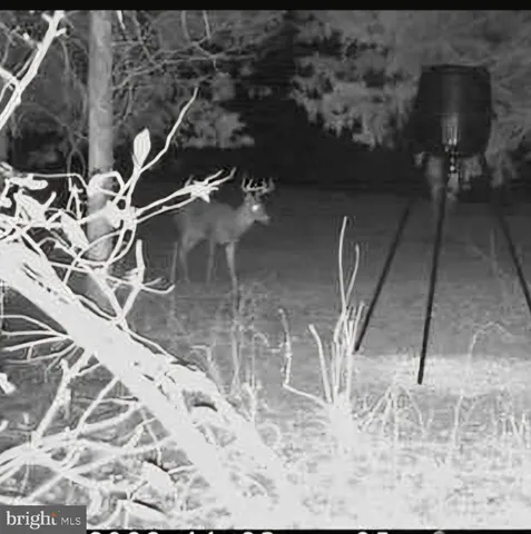 $1,500,000 | 15920 River Bend Court, Williamsport, MD 21795