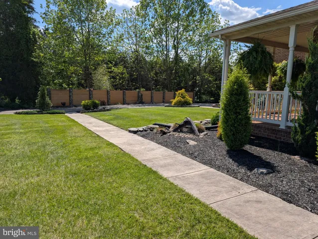 a view of a park with large trees