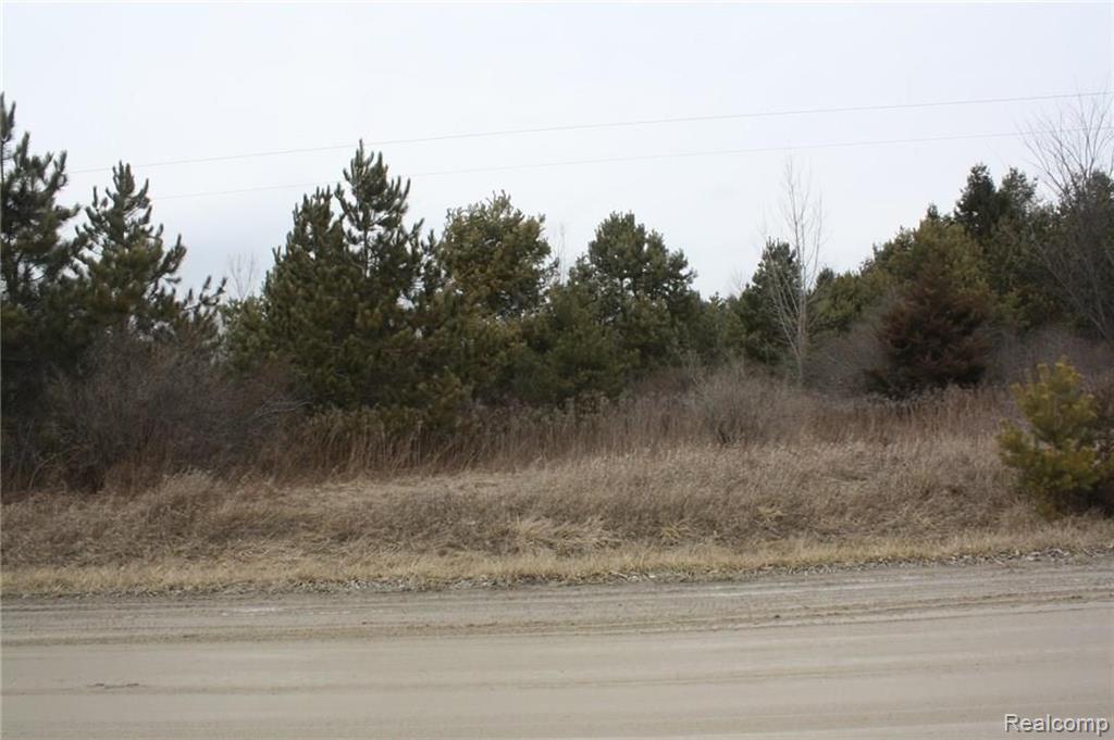 466 West Castle Road Fostoria, MI 48435 - Photo 2 of 21