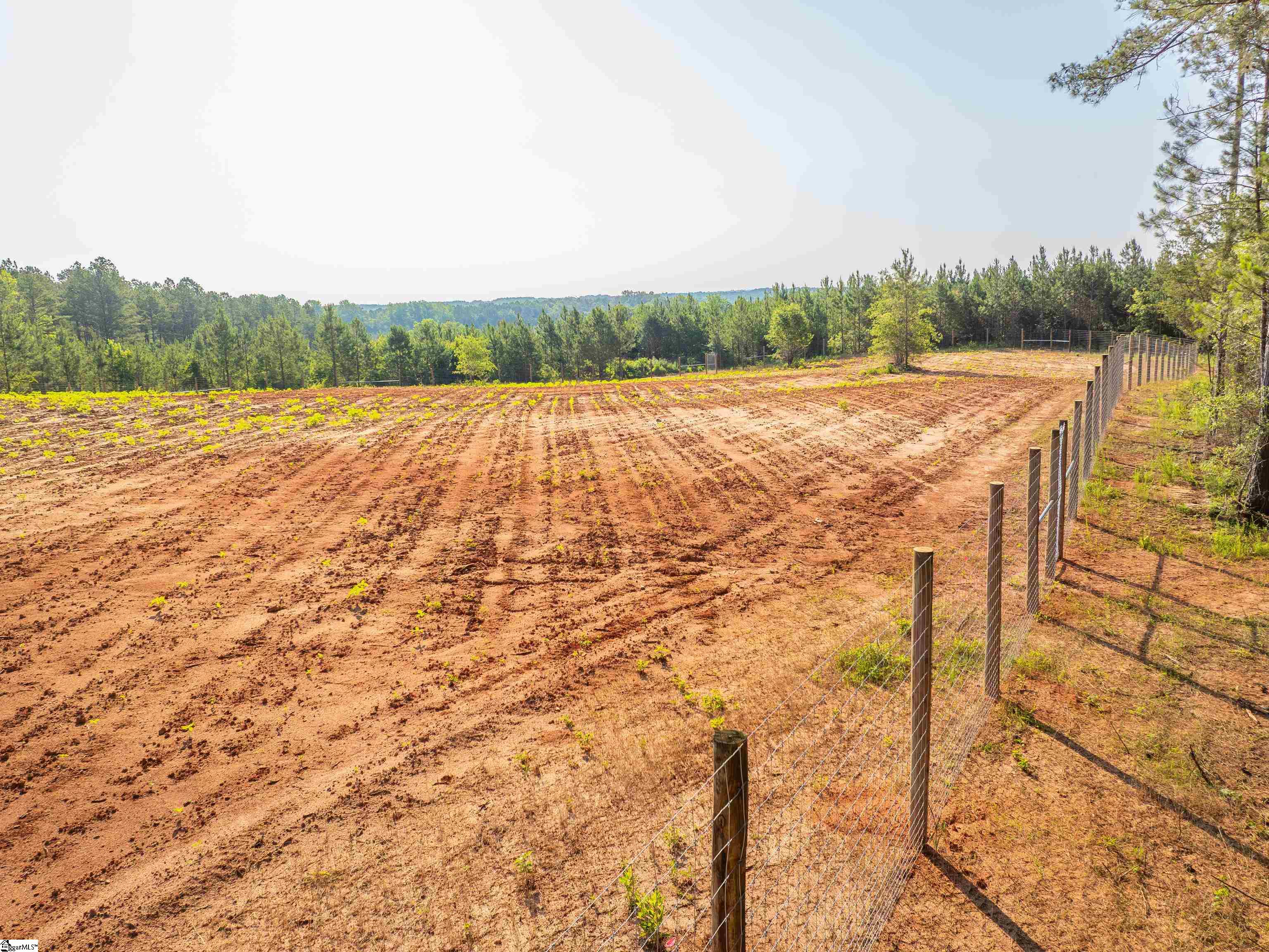 1332 Arnold Lane Waterloo, SC 29384 - Photo 19 of 40