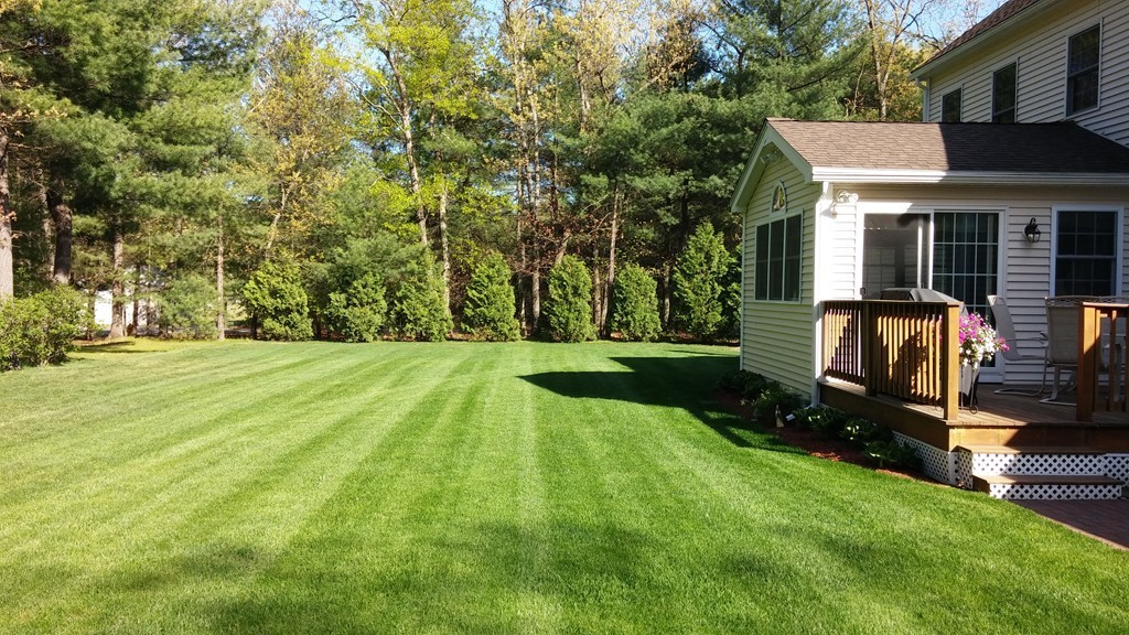 43 Shaker Road Shirley, MA 01464 - Photo 29 of 30 a view of backyard with table and chairs potted plants and large tree
