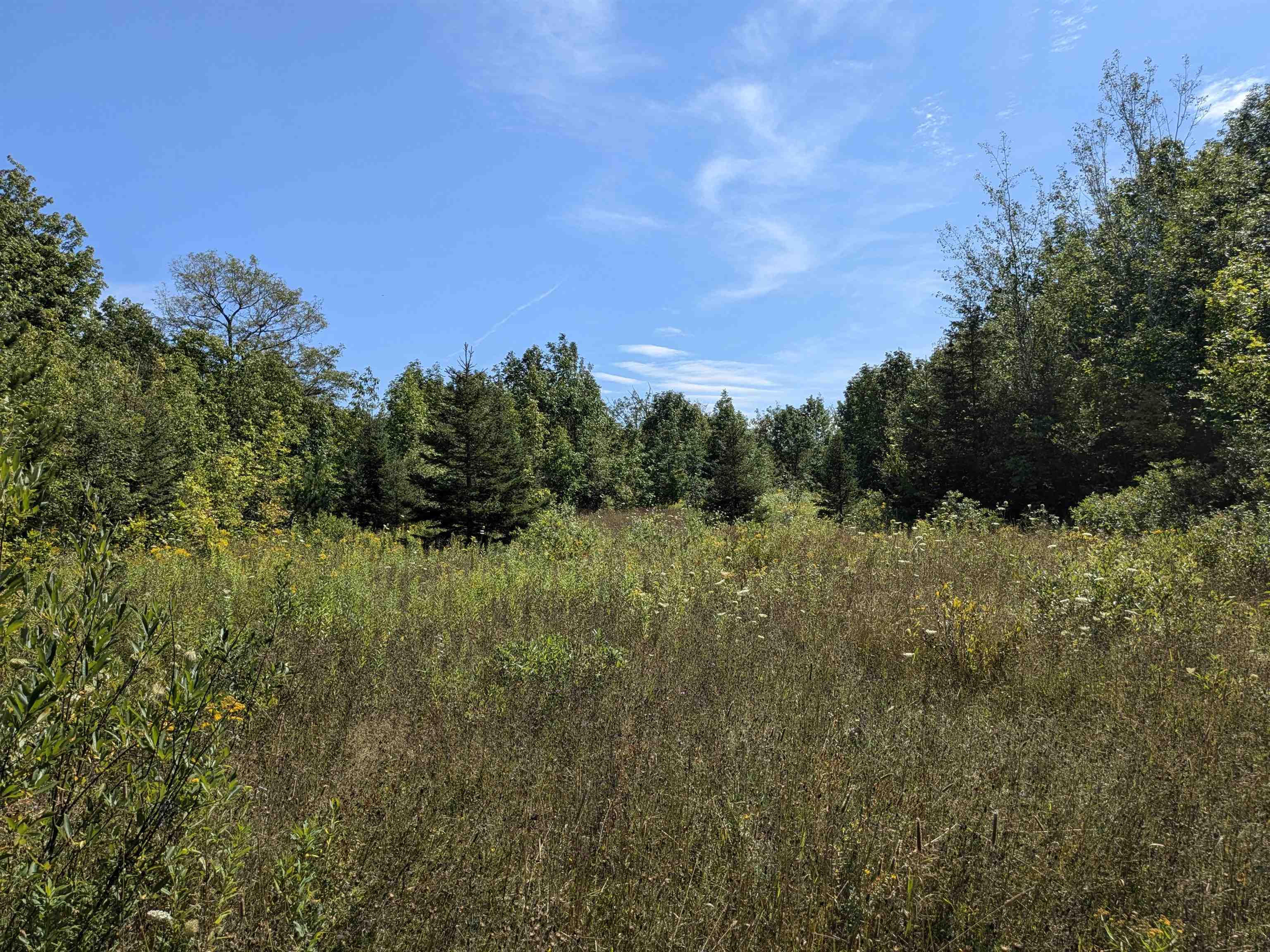 7163 W Highway 2 Hurley, WI 54534 - Photo 2 of 13 View of landscape