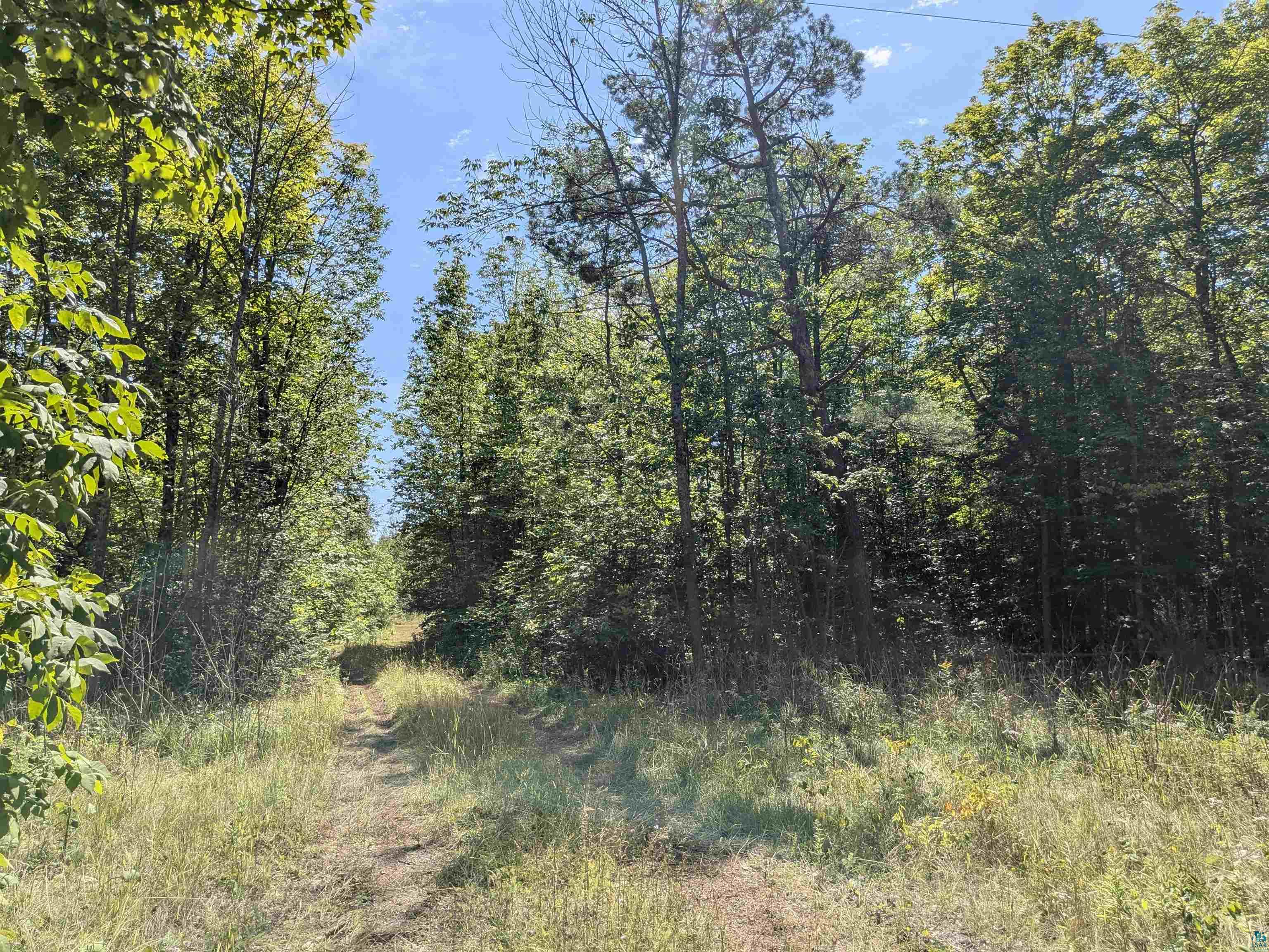 7163 W Highway 2 Hurley, WI 54534 - Photo 3 of 13 View of local wilderness