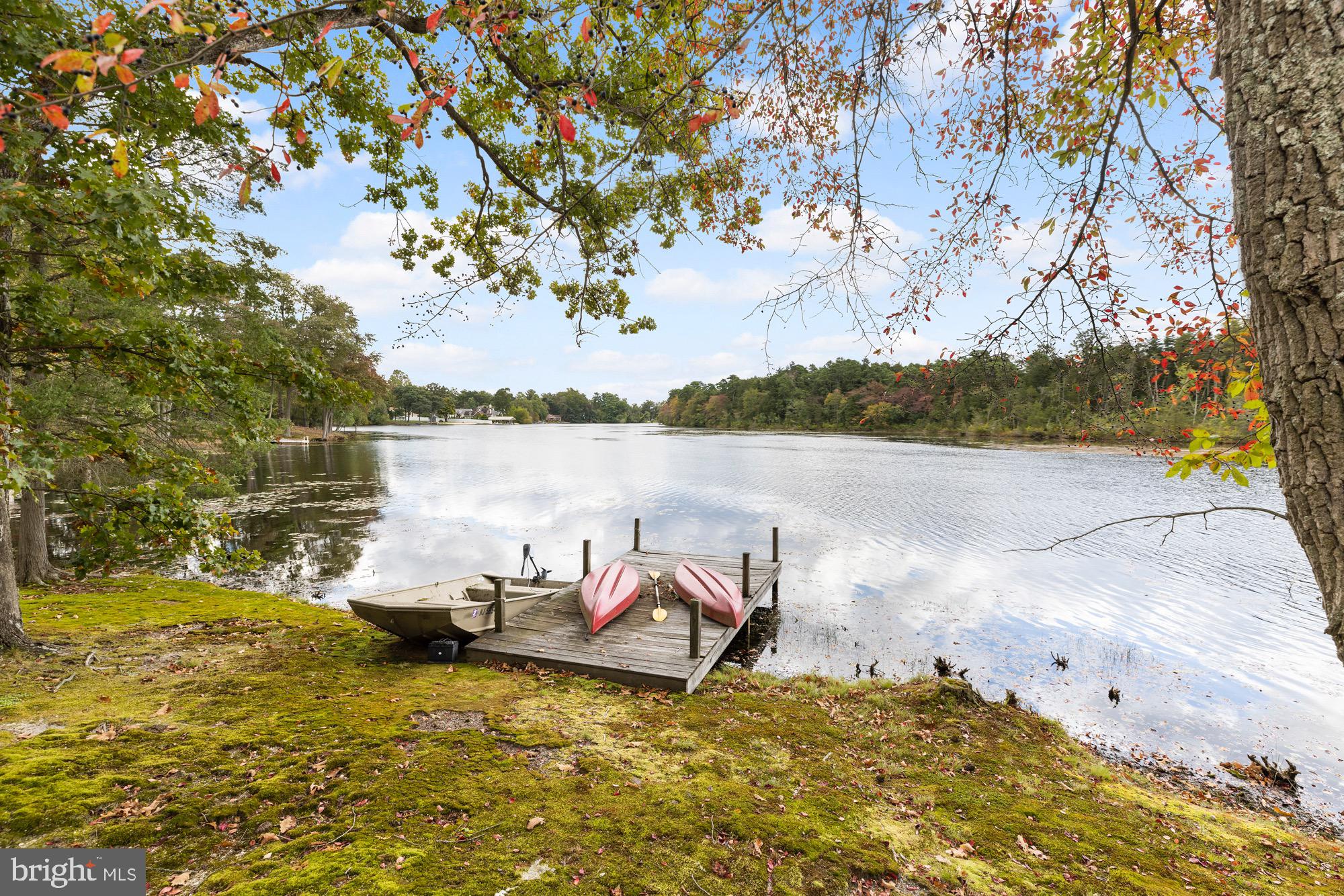 124 Batchelor Lane Hammonton, NJ 08037 - Photo 9 of 60