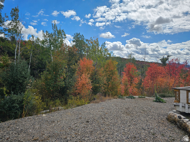 19845 North 14070 (north Fork Rd) Road East, Unit 313 Mount Pleasant, UT 84647 - Photo 38 of 39 View of side yard featuring an autumn wooded view