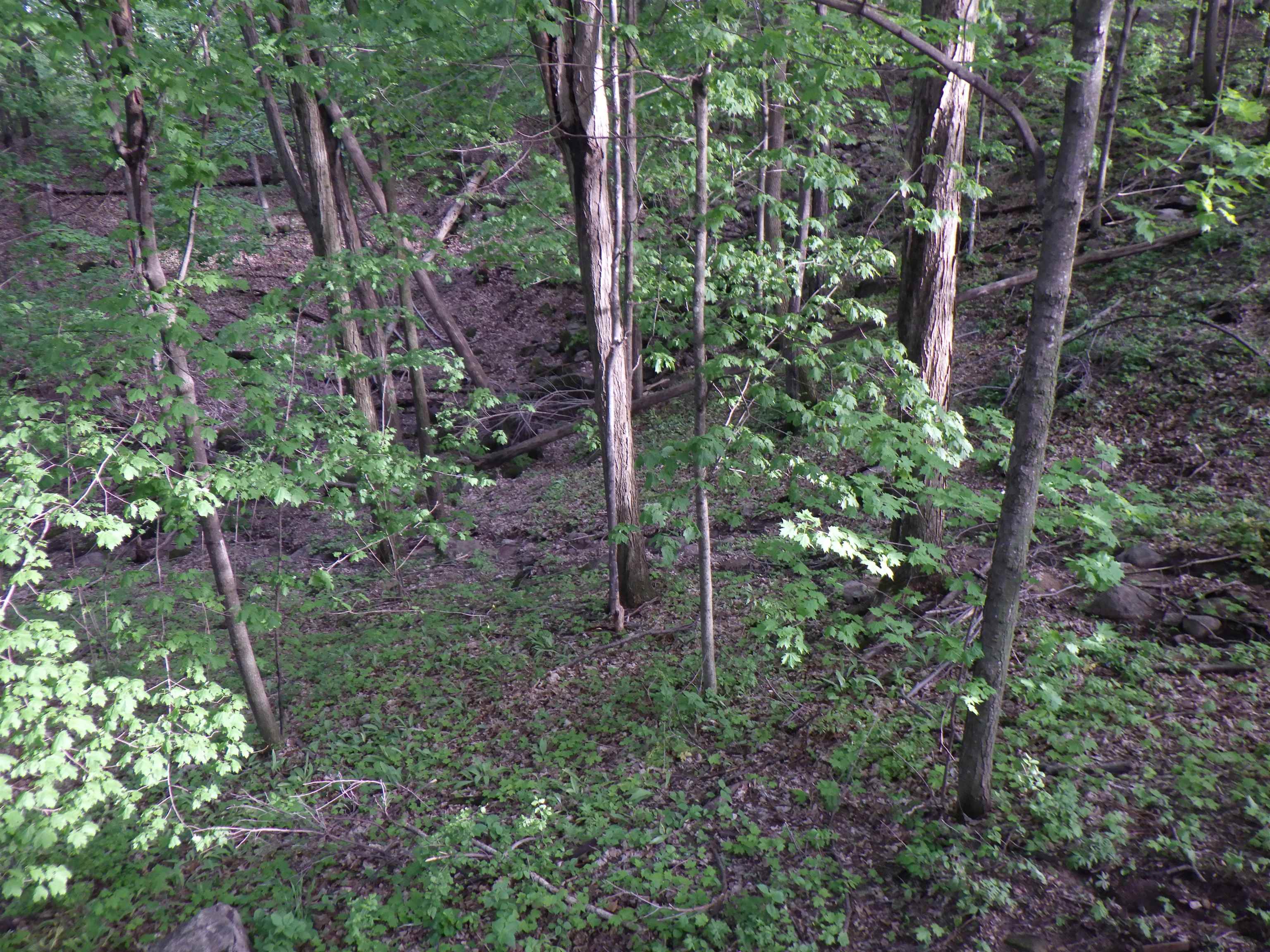 E7696 Horn Road Clintonville, WI 54929 - Photo 51 of 86