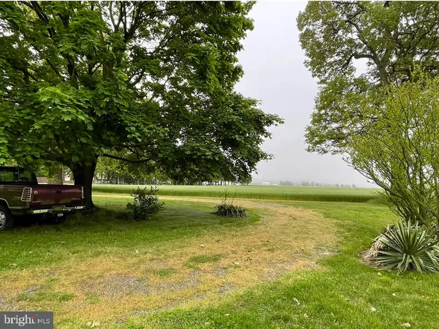 a view of a swimming pool with a yard
