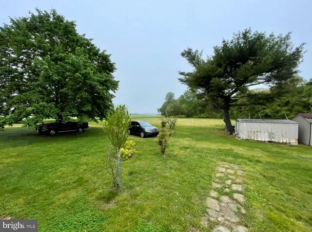a view of garden with trees