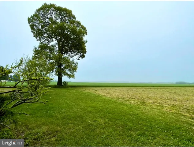 a view of an ocean from a yard