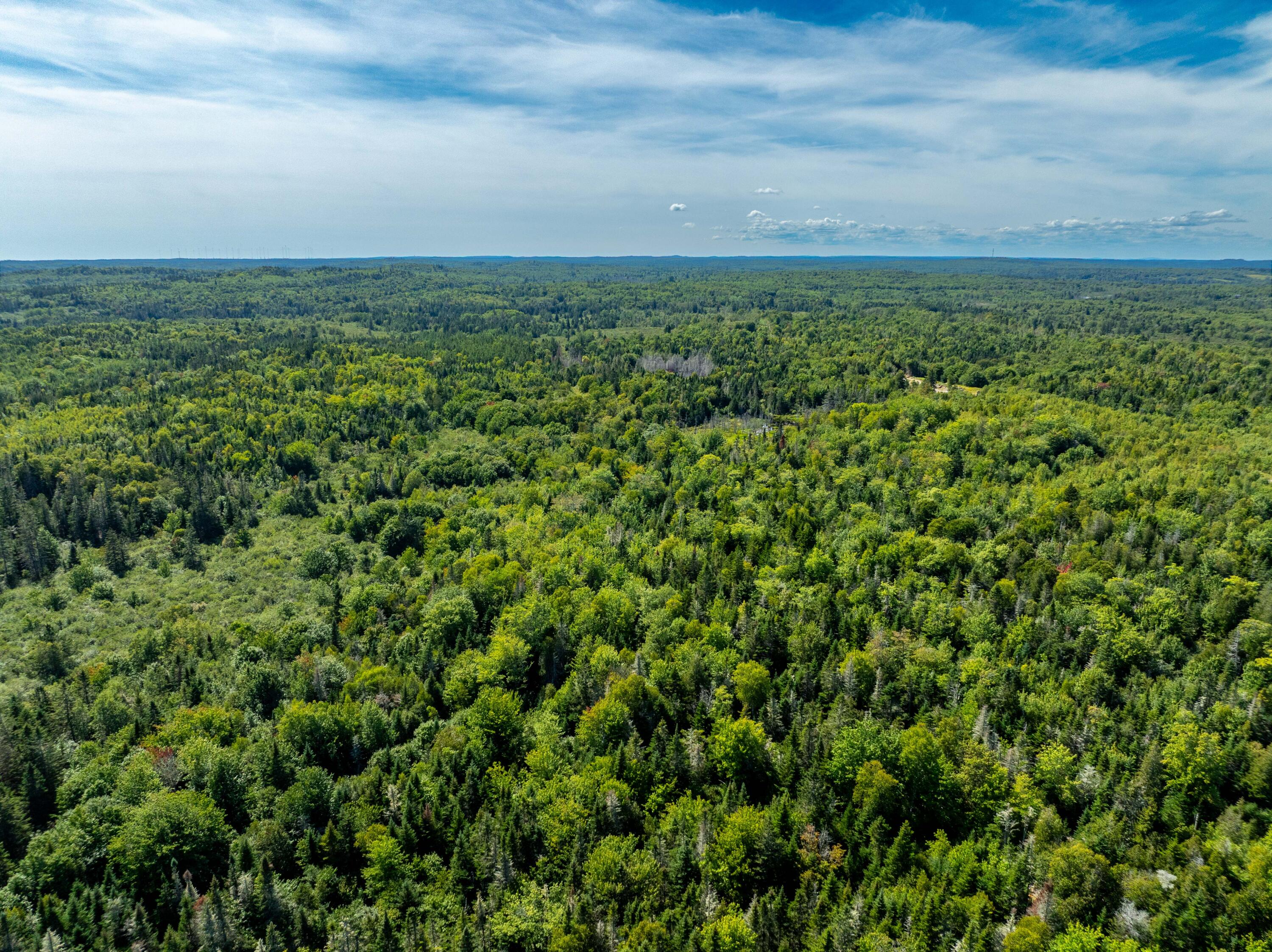 2 Map Lubec, ME 04652 - Photo 20 of 79 530+- acres Trescott Twp Maine (16 of 80