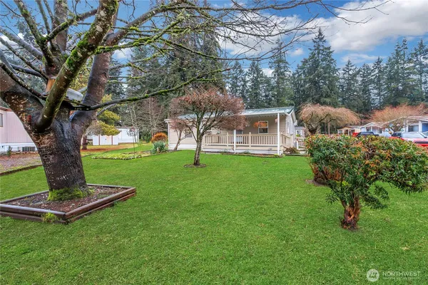 a view of a park with a tree