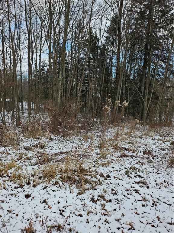 Lot 0 Branchton Road Boyers, PA 16020 - Photo 2 of 7 a view of a yard with trees