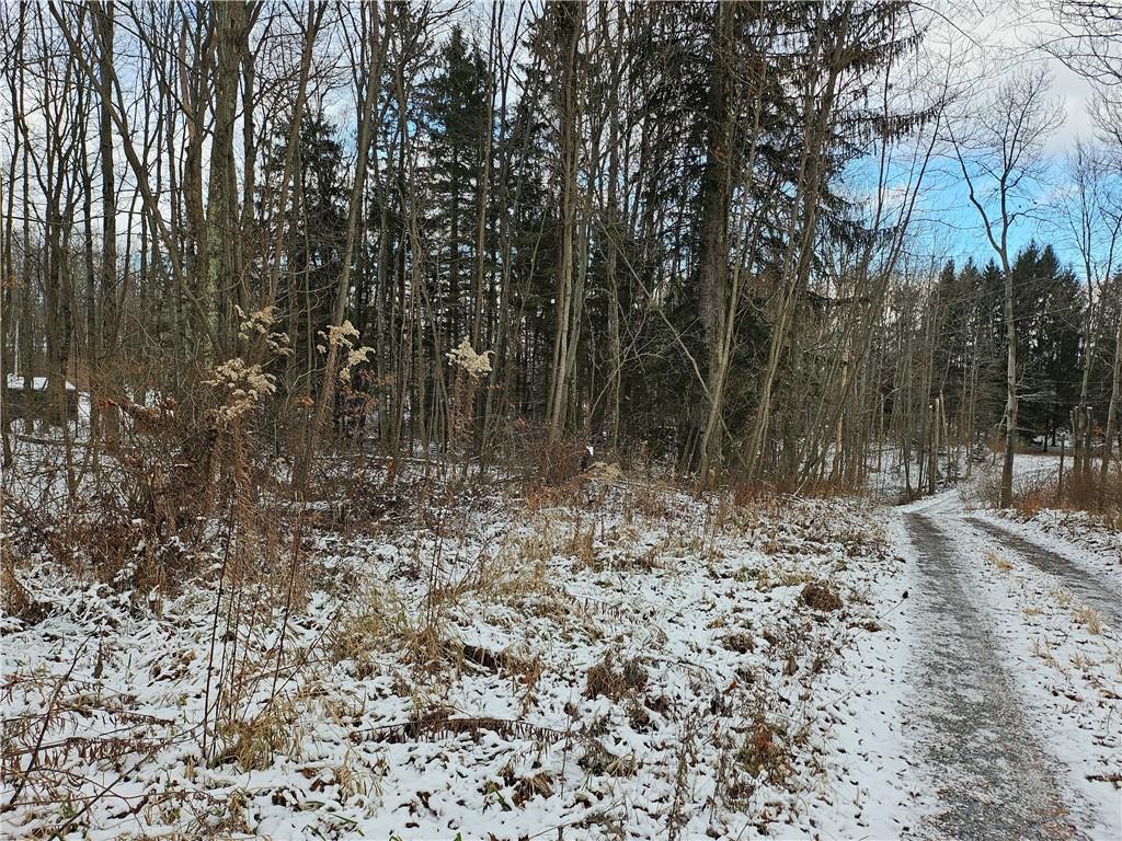Lot 0 Branchton Road Boyers, PA 16020 - Photo 3 of 7 a view of a covered with trees