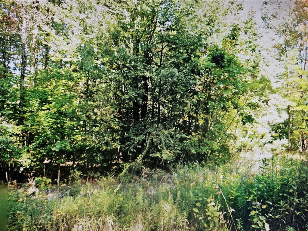 Lot 0 Branchton Road Boyers, PA 16020 - Photo 4 of 7 a view of a lush green forest