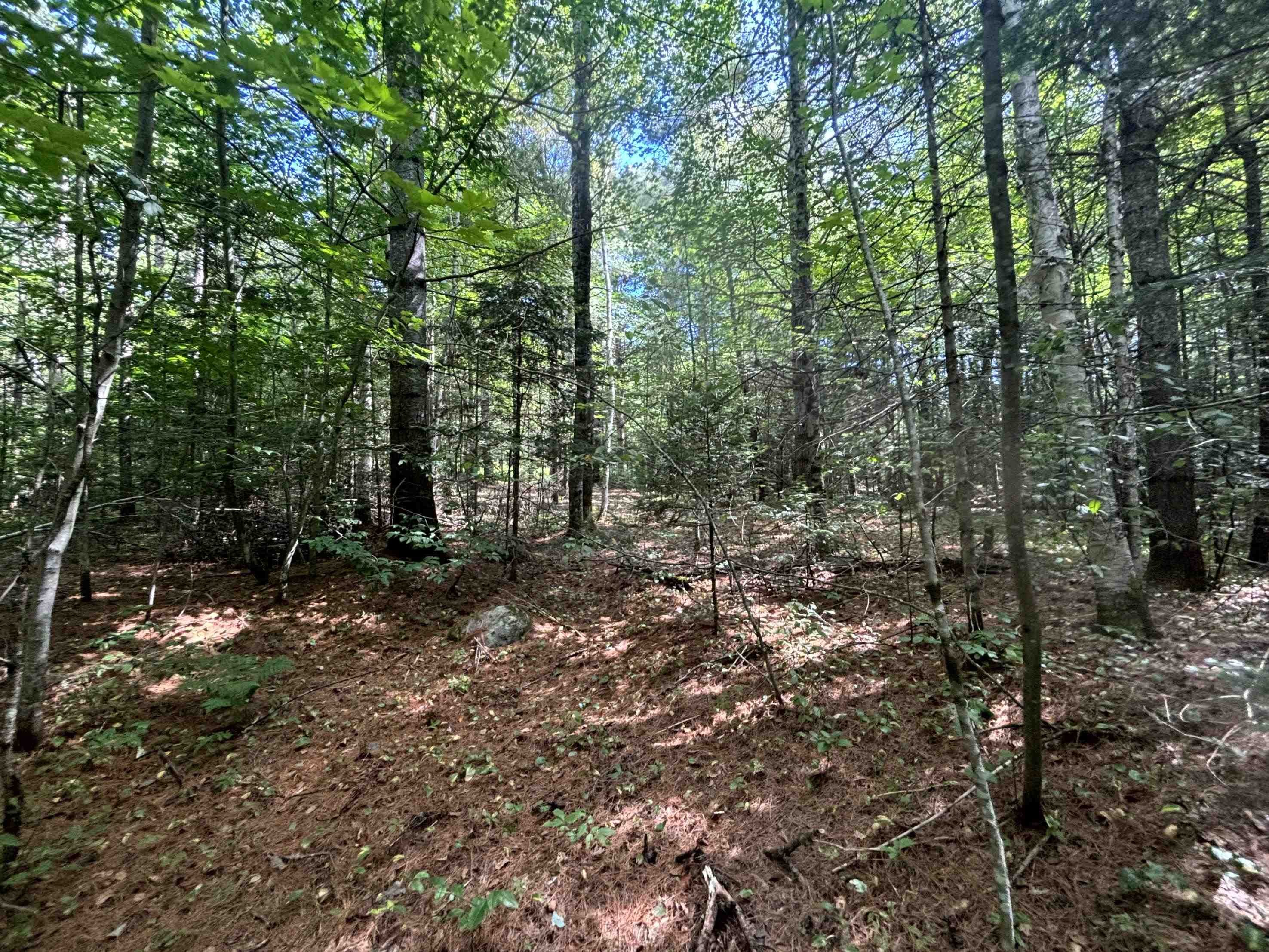 0 Gideons Mill Road Island Pond, VT 05846 - Photo 15 of 17 Gallery Image 15
