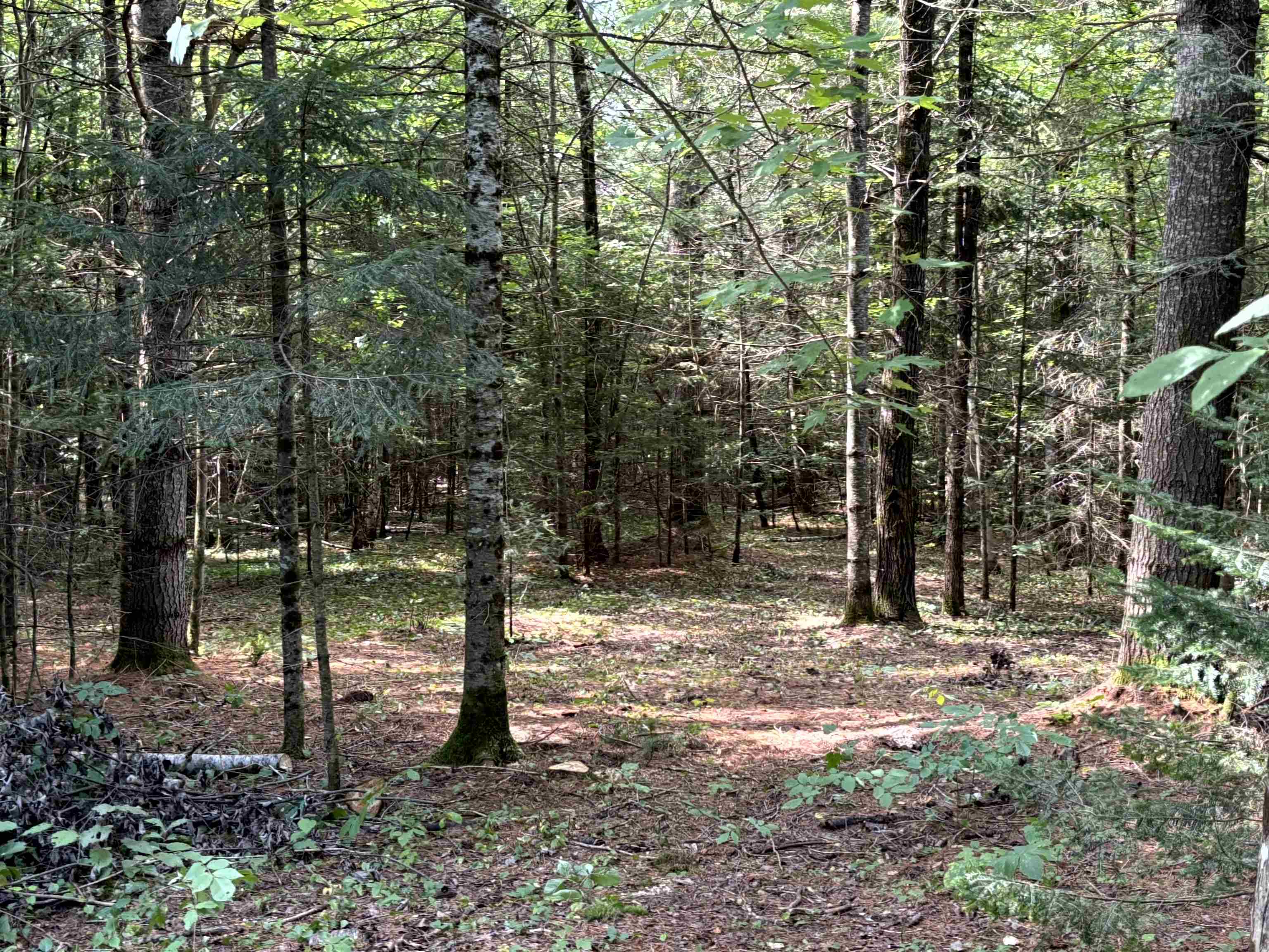0 Gideons Mill Road Island Pond, VT 05846 - Photo 2 of 17 Gallery Image 2