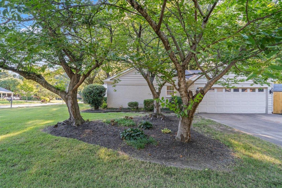 5170 Sequoia Road Memphis, TN 38117 - Photo 4 of 33