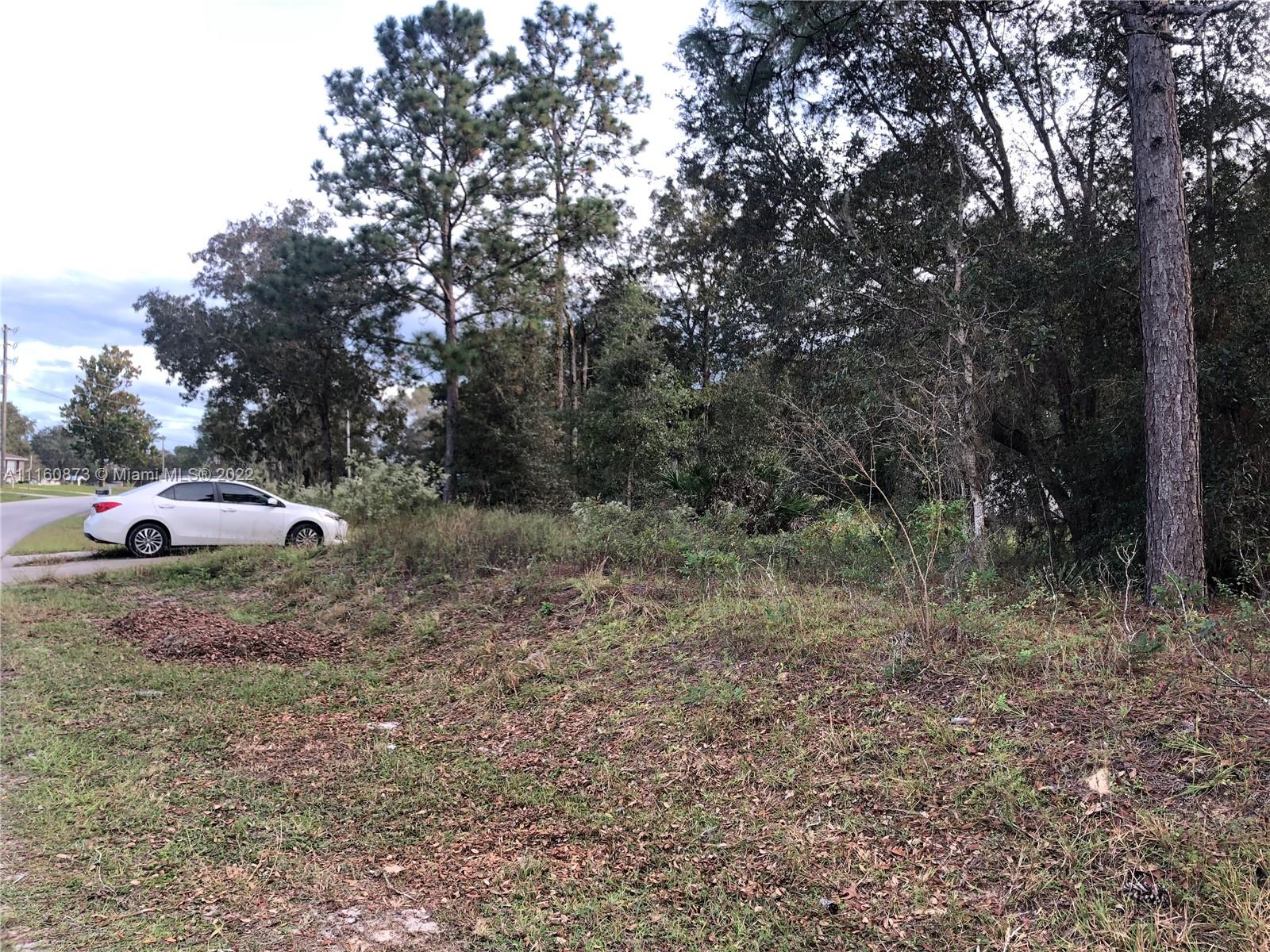 4400 Southwest 166th Court Road Ocala, FL 34481 - Photo 1 of 23 Gallery Image 1