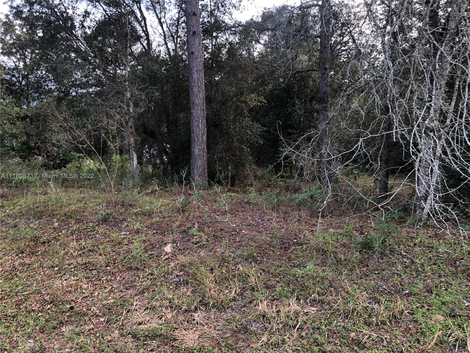 4400 Southwest 166th Court Road Ocala, FL 34481 - Photo 14 of 23 Gallery Image 14