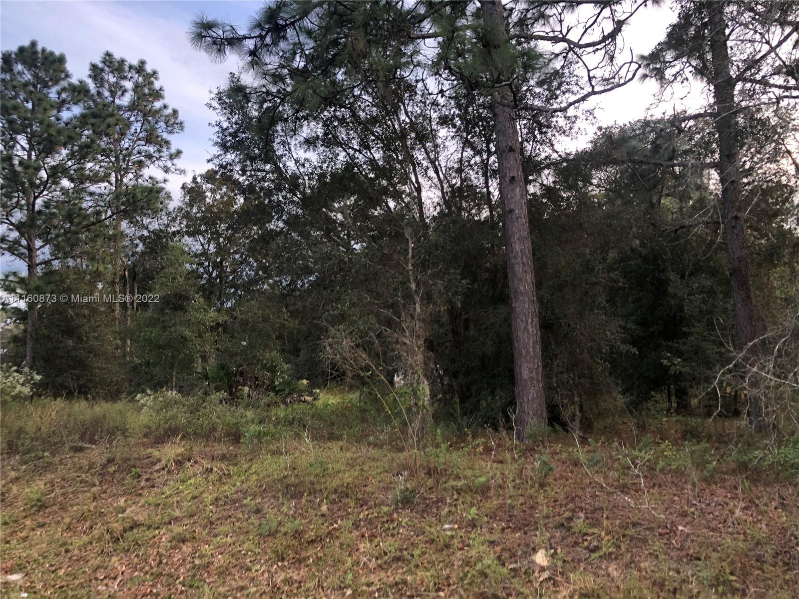 4400 Southwest 166th Court Road Ocala, FL 34481 - Photo 20 of 23 Gallery Image 20