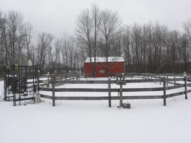 1716 West Erickson Road Linwood, MI 48634 - Photo 29 of 37