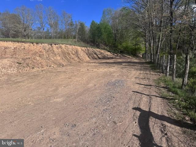 Tbd Shaffers Run Road Mill Creek, WV 26280 - Photo 11 of 43