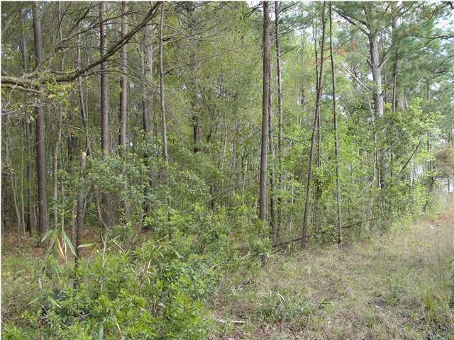 0 Marshfield Road Johns Island, SC 29455 - Photo 2 of 4 Additional Photo