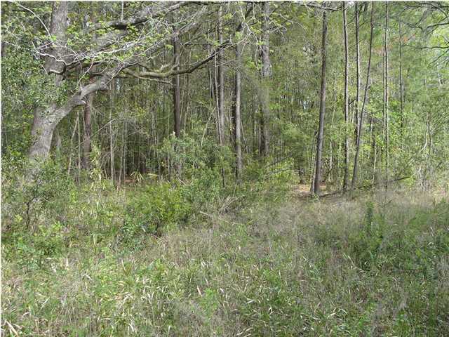 0 Marshfield Road Johns Island, SC 29455 - Photo 4 of 4 Additional Photo
