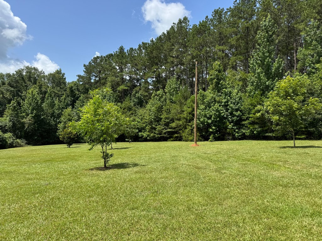 3708 Gleenwood Road Southeast Ruth, MS 39662 - Photo 3 of 46 Yard at entrance with security light