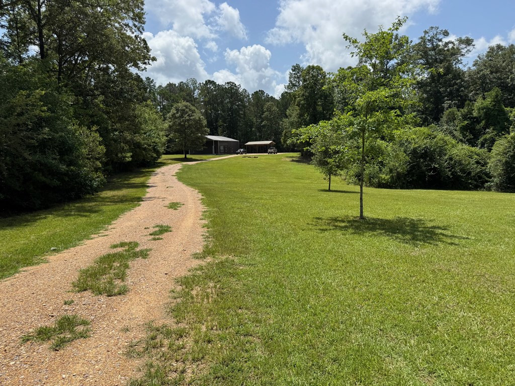 3708 Gleenwood Road Southeast Ruth, MS 39662 - Photo 45 of 46 Incoming driveway