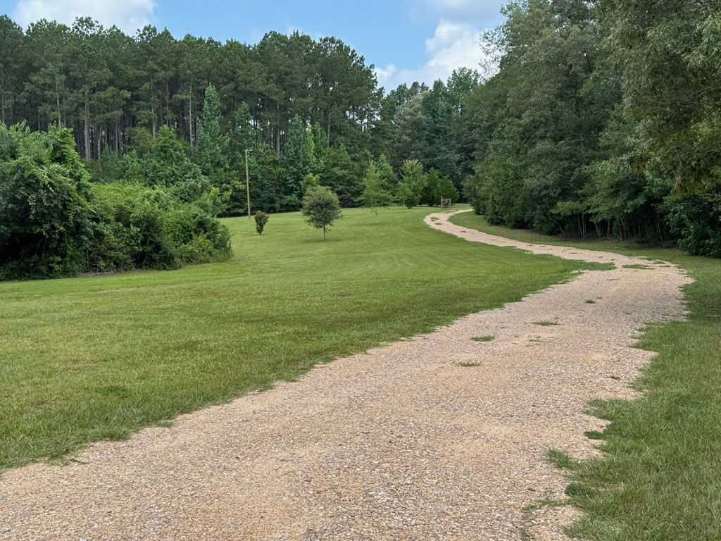 3708 Gleenwood Road Southeast Ruth, MS 39662 - Photo 46 of 46 Driveway back to road