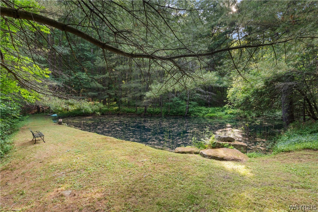 9173 Lyman Road Clarksville, NY 14727 - Photo 46 of 48 Pond