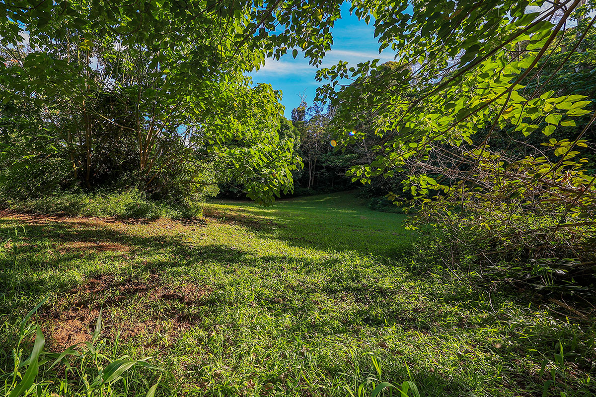 6828 B Kuamoo Road, Unit 2 Kapaa, HI 96746 - Photo 15 of 30