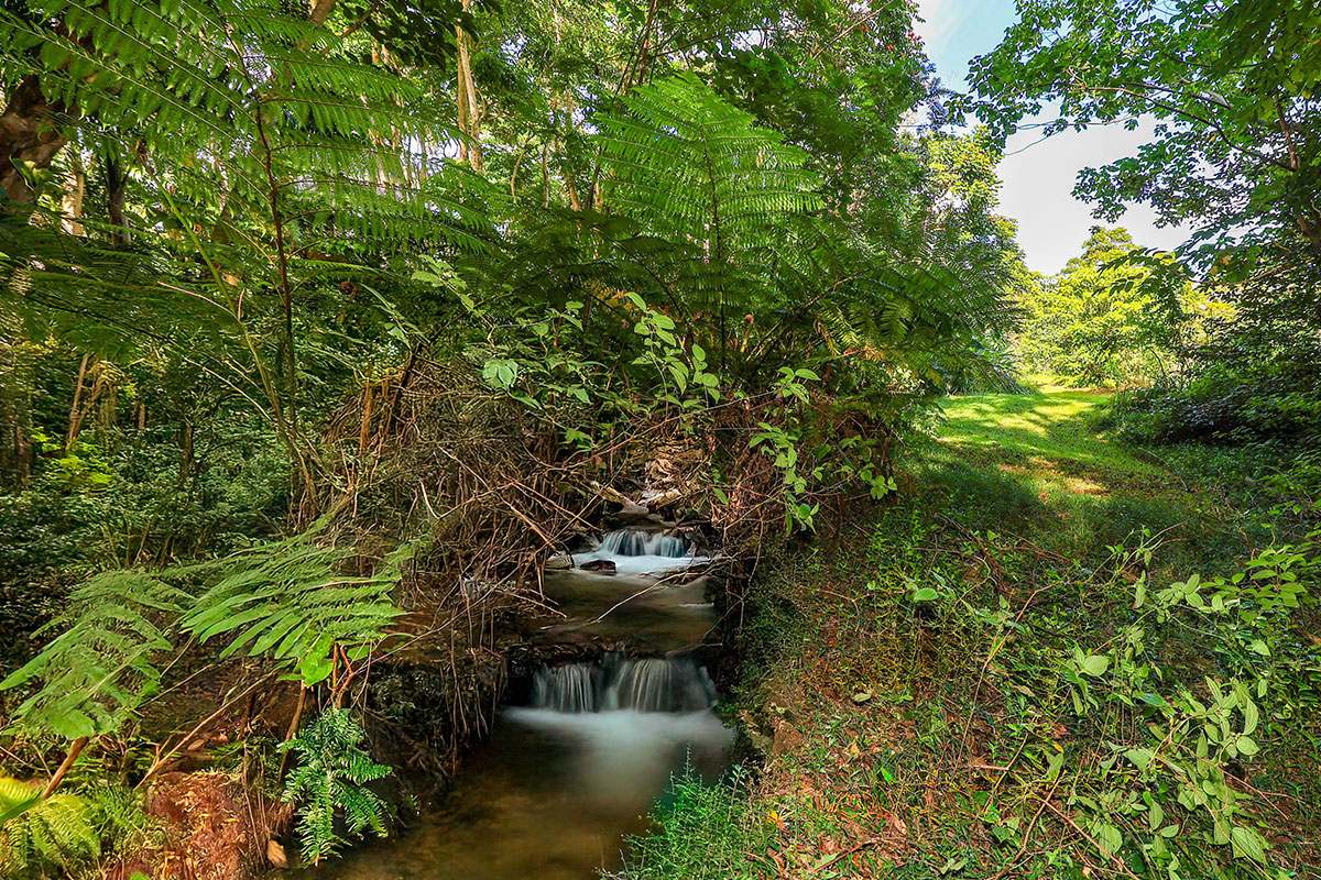 6828 B Kuamoo Road, Unit 2 Kapaa, HI 96746 - Photo 17 of 30