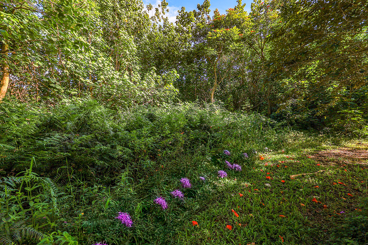 6828 B Kuamoo Road, Unit 2 Kapaa, HI 96746 - Photo 23 of 30