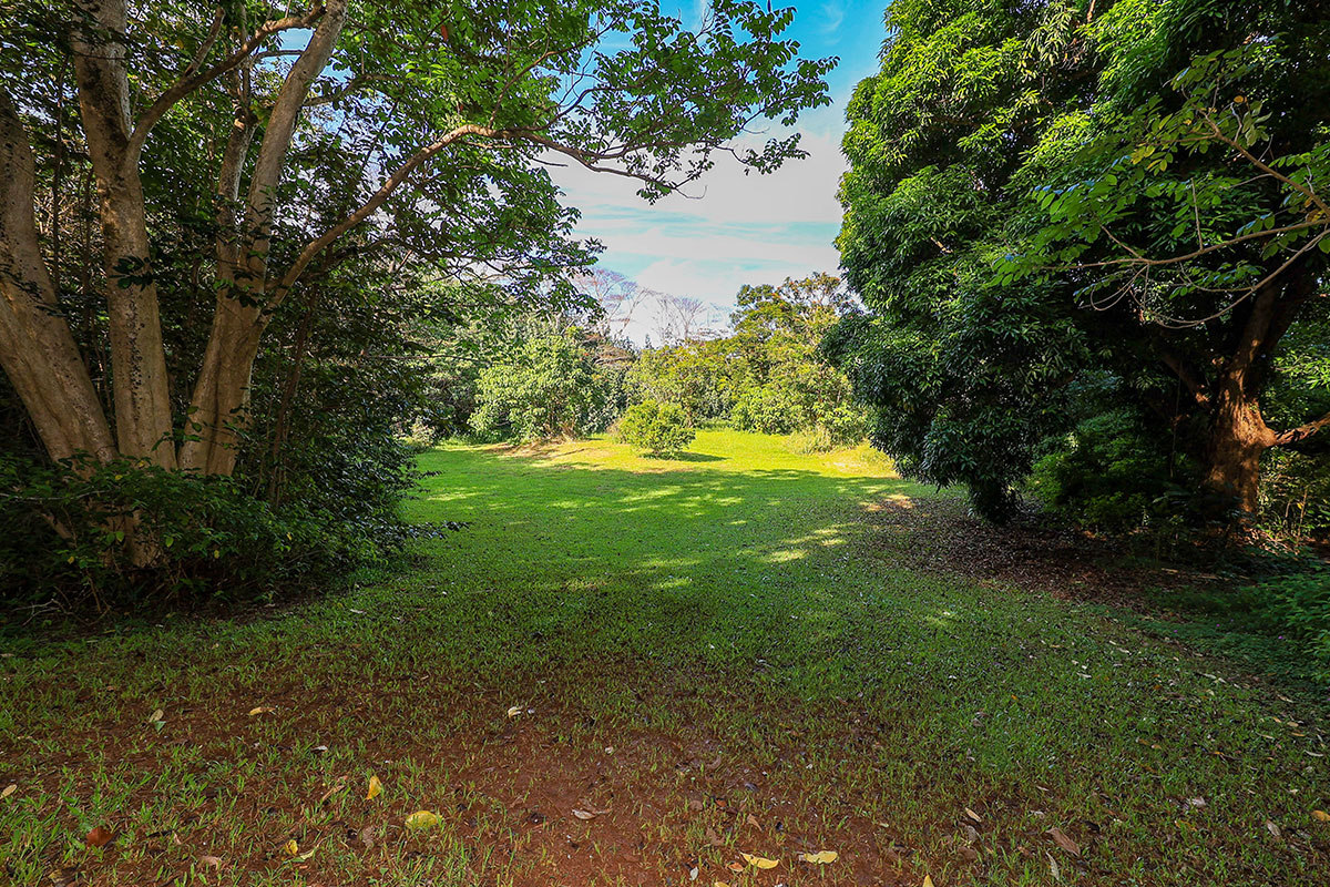 6828 B Kuamoo Road, Unit 2 Kapaa, HI 96746 - Photo 4 of 30 a view of a trees with a yard