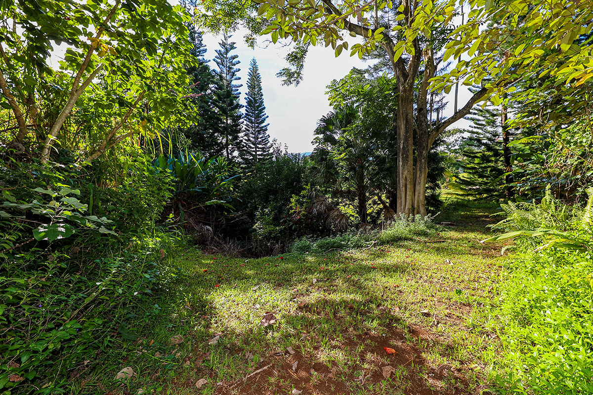 6828 B Kuamoo Road, Unit 2 Kapaa, HI 96746 - Photo 6 of 30 a view of yard
