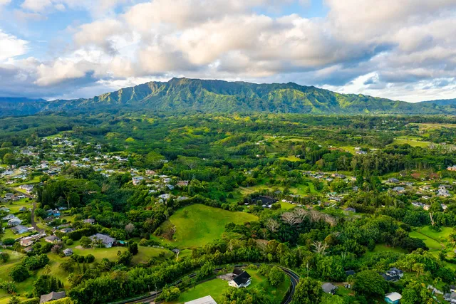 $1,390,000 | 6828 B Kuamoo Road, Unit 2, Kapaa, HI 96746