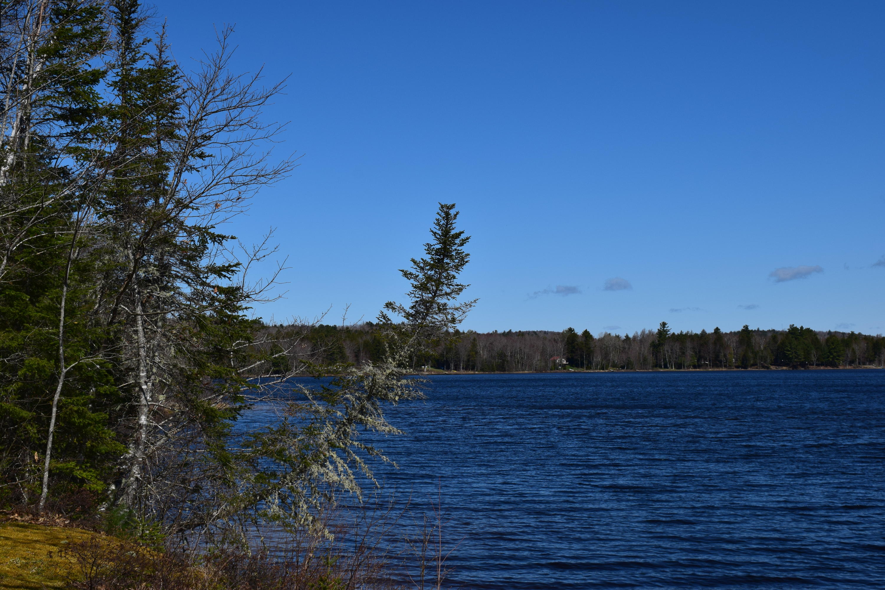 0 Morrison Farm Road Ellsworth, ME 04605 - Photo 5 of 8 DSC_0124