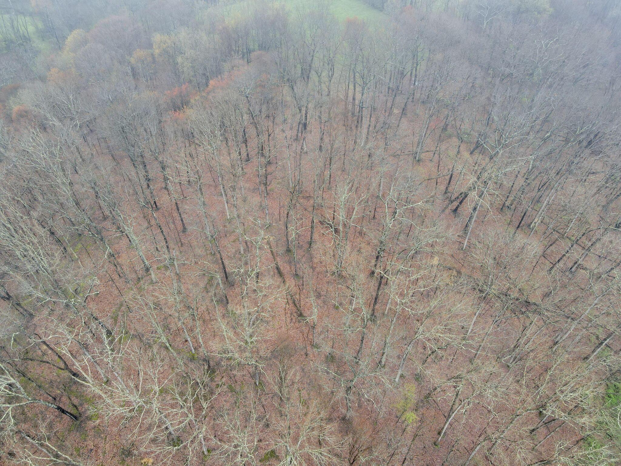 0 Lake Road Southeast Lancaster, OH 43130 - Photo 12 of 23 12-web-or-mls-DJI_0180
