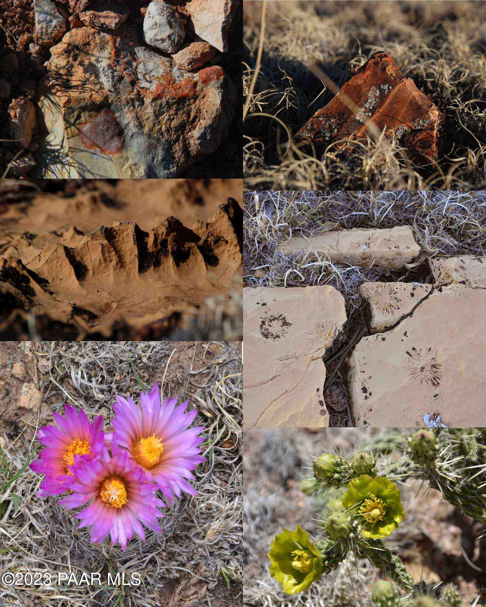 3672 West Singletree Road Williams, AZ 86046 - Photo 12 of 13 Details